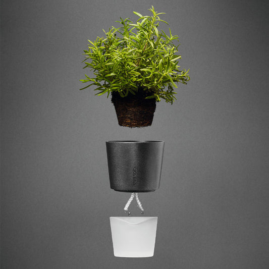 Eva Solo Tools Kräutertopf mit Wasserreservoir, Grau