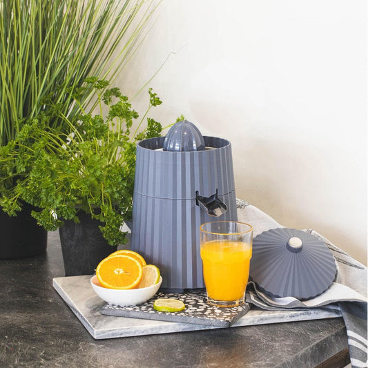 Alessi Plissé Citruspers Grijs – Citruspers Van Alessi In Donkergrijs Kunststof, Roestvrij Staal