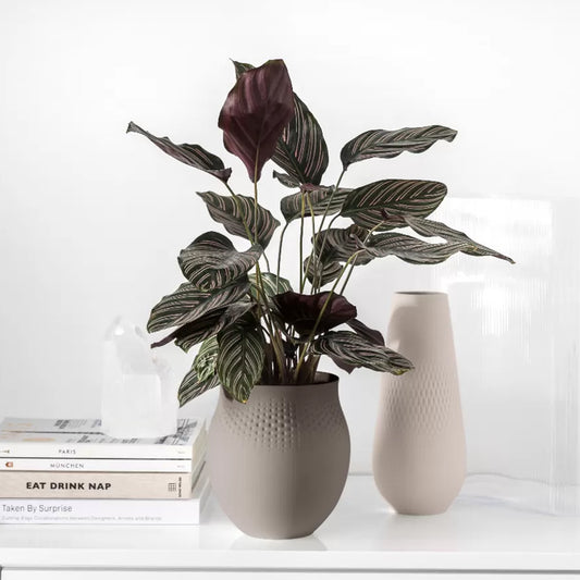 Villeroy & Boch Manufacture Collier Vaas Perle Taupe Large