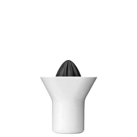 RigTig Sinaasappelpers 0,33 L