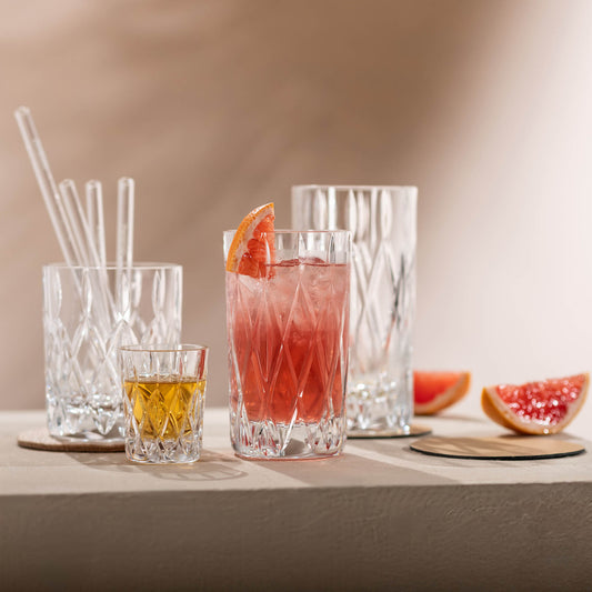 Schott Zwiesel Age Longdrinkglazen 4 Stuks