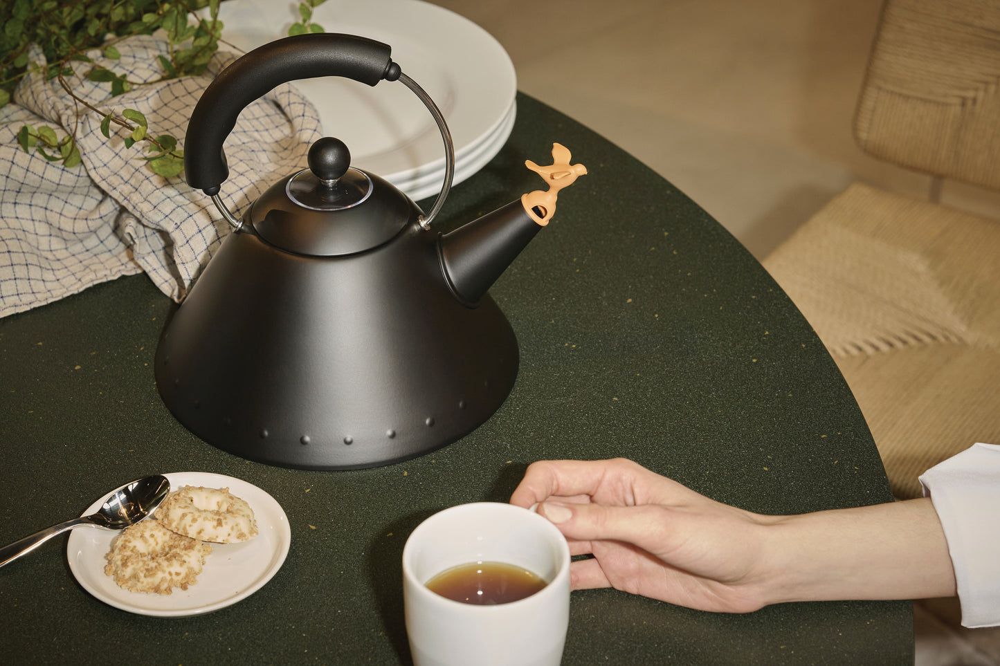 Alessi Michael Graves Fluitketel Zwart