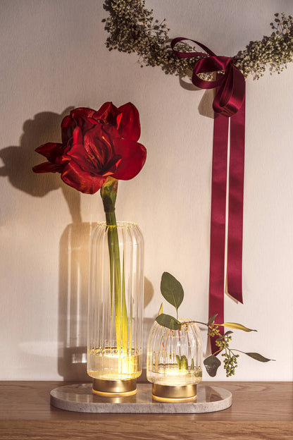 Leonardo Riposo Vaas met Ledverlichting 28 cm