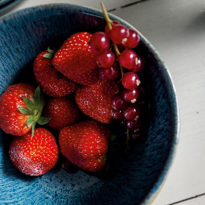 Leonardo Matera Schaal Blauw 15 cm