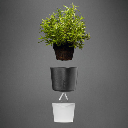 Eva Solo Tools Kruidenpot Met Reservoir Grijs