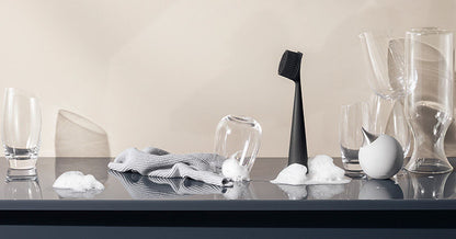 Eva Solo Tools Afwasborstel Zwart