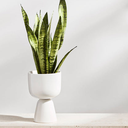 Iittala Nappula Bloempot Wit