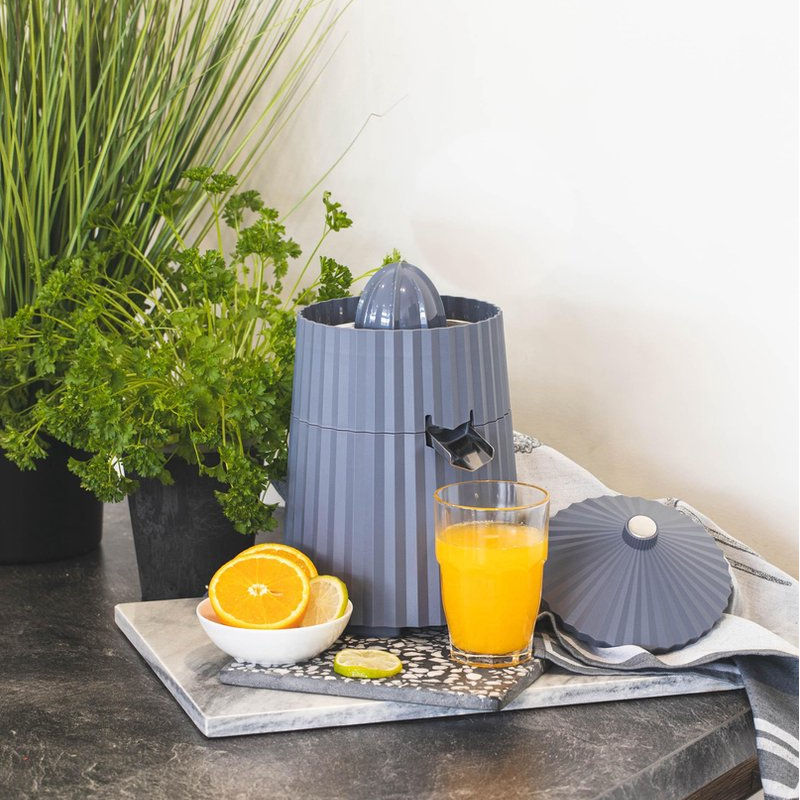 Alessi Plissé Citruspers Grijs – Citruspers Van Alessi In Donkergrijs Kunststof, Roestvrij Staal