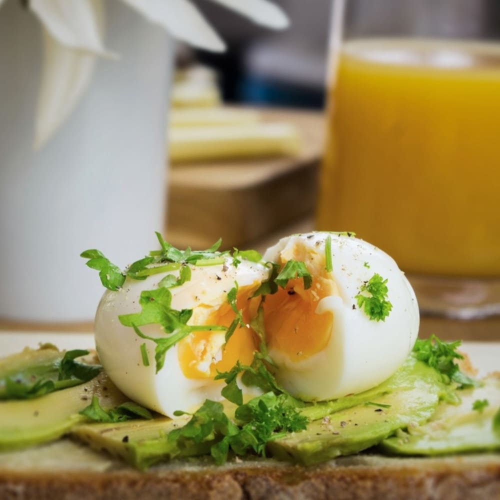 Brainstream Brutus Kookt Piepei Flower Power