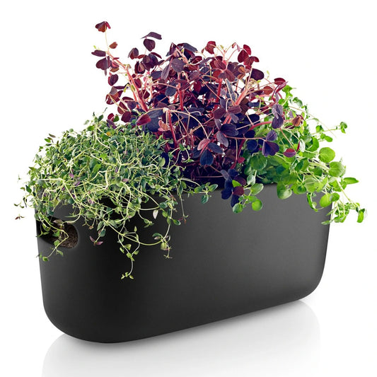 Eva Solo Tools Kruidenpot Met Bewateringssysteem Zwart