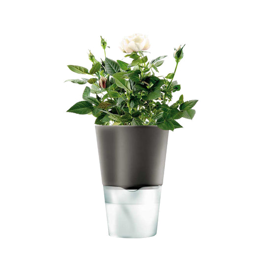 Eva Solo Tools Kräutertopf mit Wasserreservoir, Grau