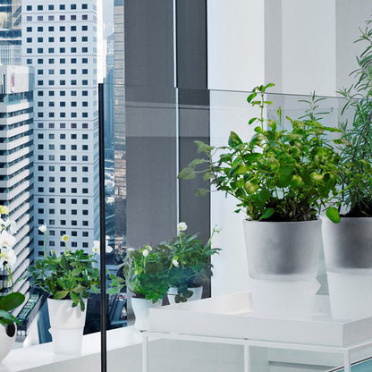 Eva Solo Tools Kräutertopf mit Wasserreservoir, Grau