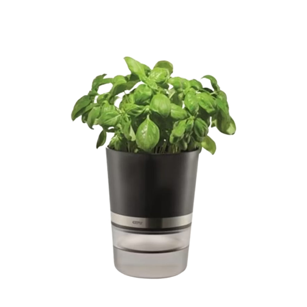 Gefu Botanico Kruidenpot