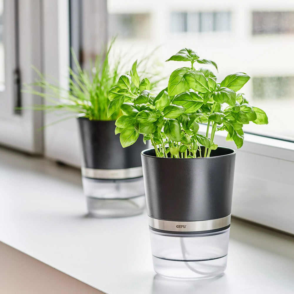 Gefu Botanico Kruidenpot