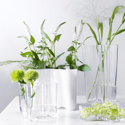 Iittala Alvar Aalto Vazen Set Helder