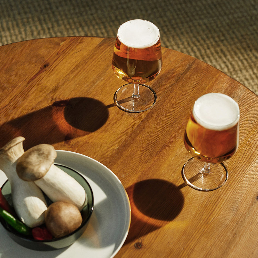 Iittala Essence Bierglas 48 cl 2 Stuks