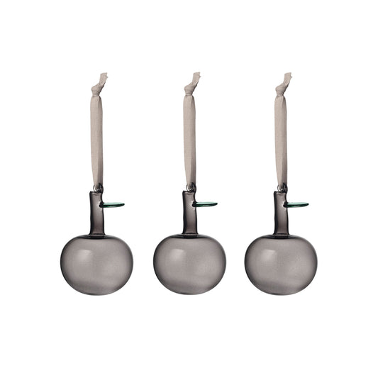 Iittala Oiva Toikka Glazen Appel Grijs 3 Stuks