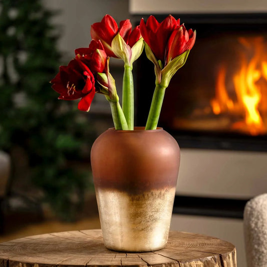 Leonardo Capanna Vaas Burgundy 27 cm